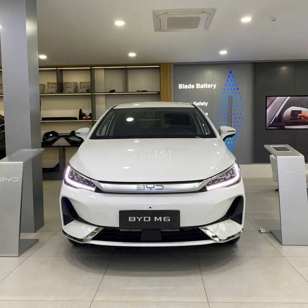 BYD M6