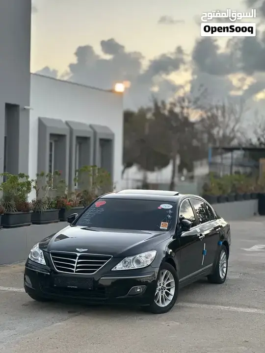 Genesis Sonata 2010 photo 2