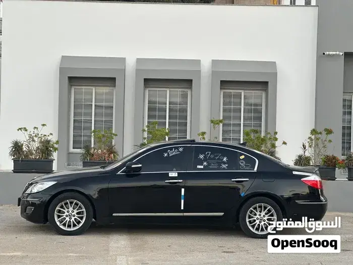 Genesis Sonata 2010 photo 3