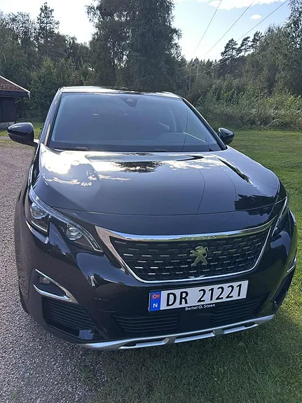 Peugeot 3008 2017 photo 2