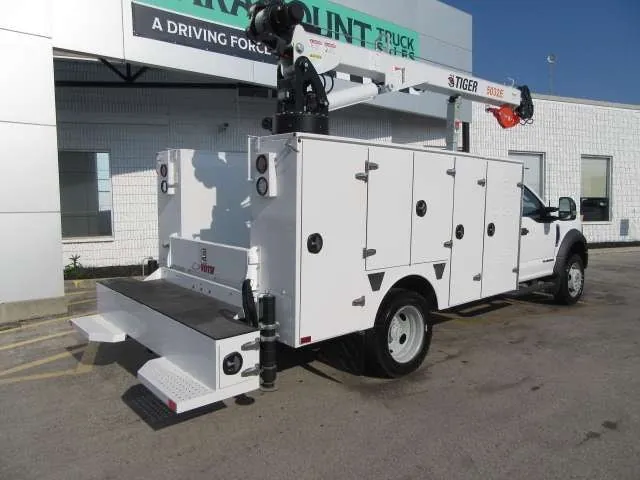 Ford F-550 2021 photo 5