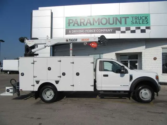 Ford F-550 2021 photo 2