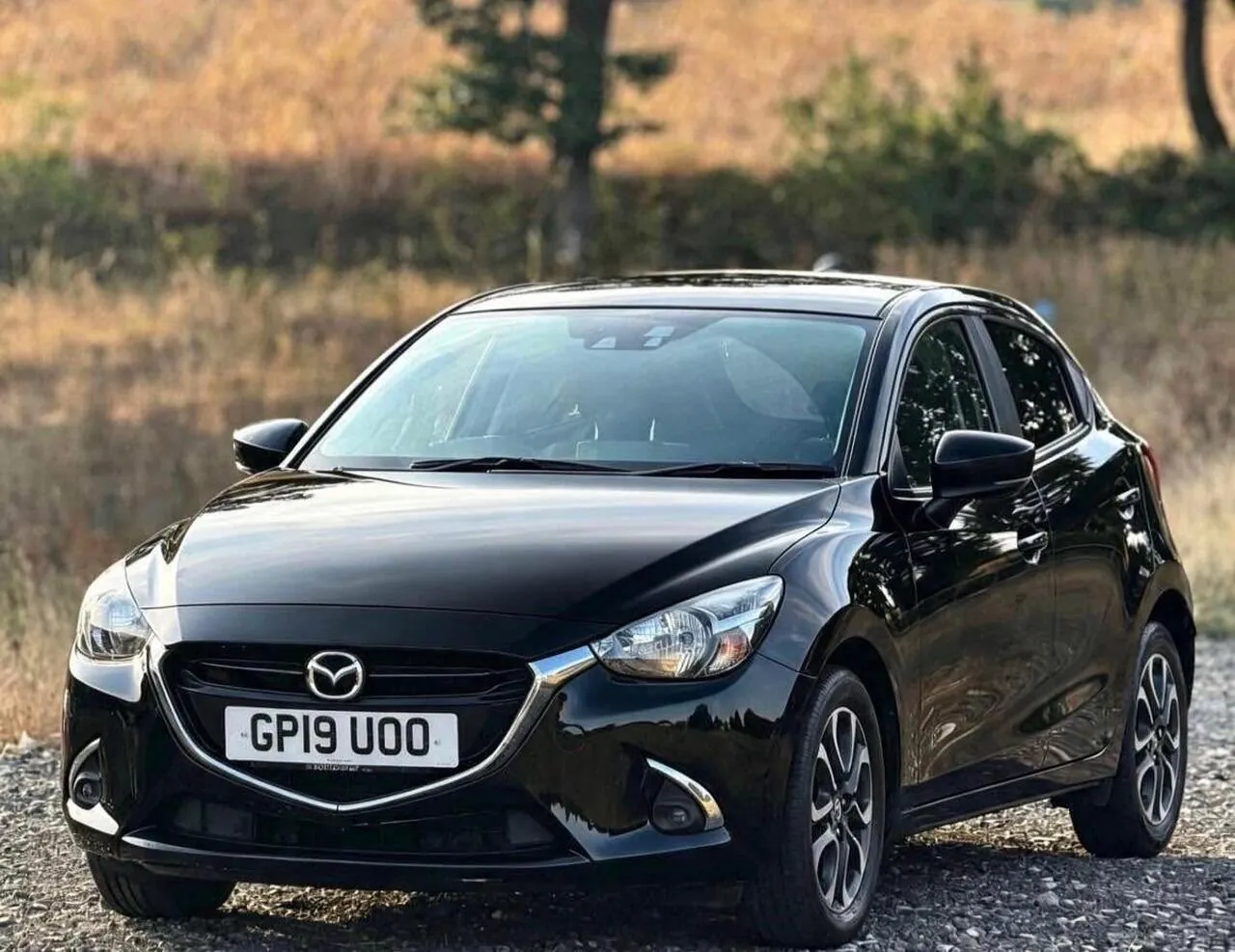 Mazda Mazda2 2019 photo 3