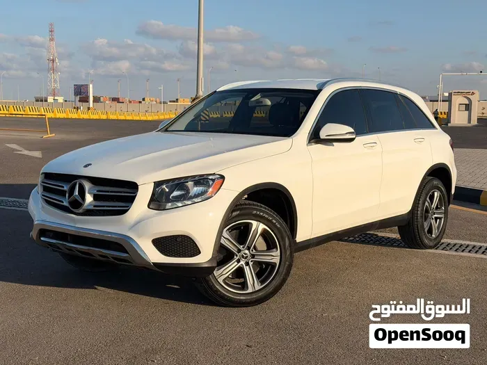 Mercedes-Benz Glc 300 2019 photo 2