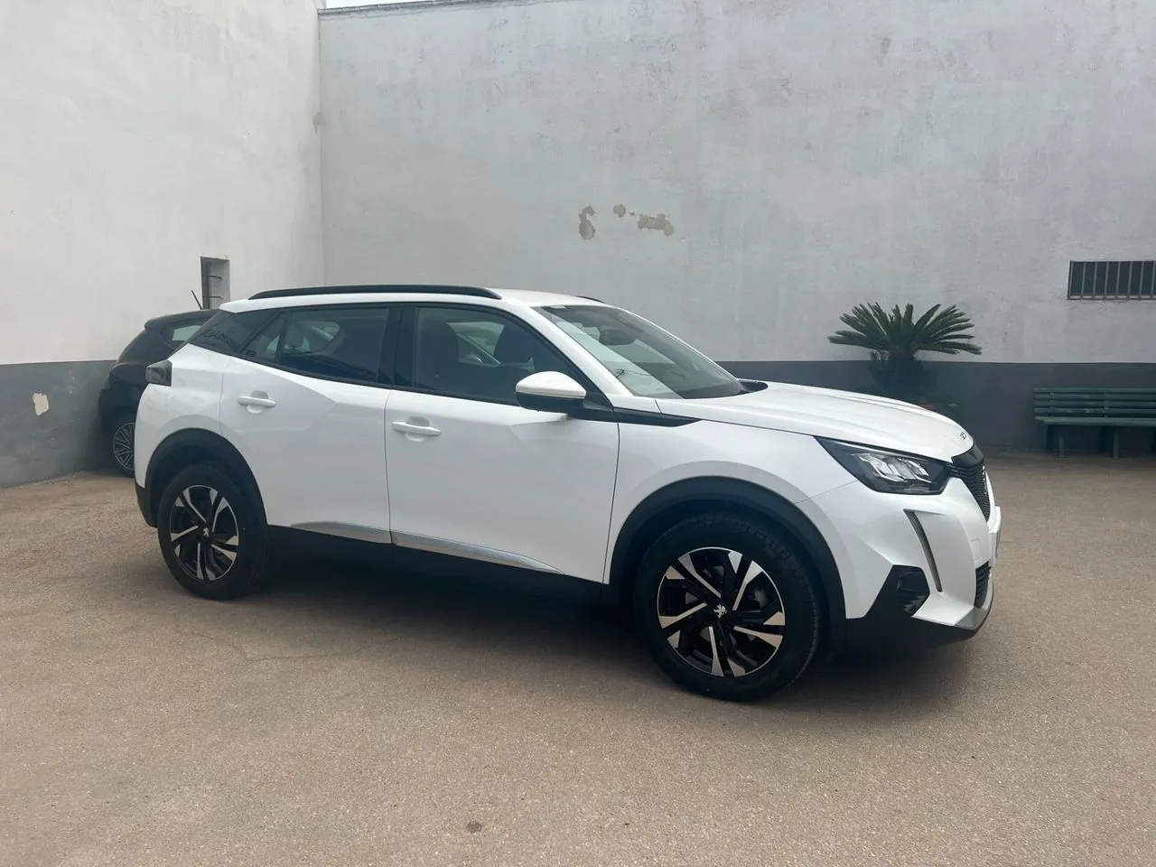 Peugeot 2008 2020 photo 3
