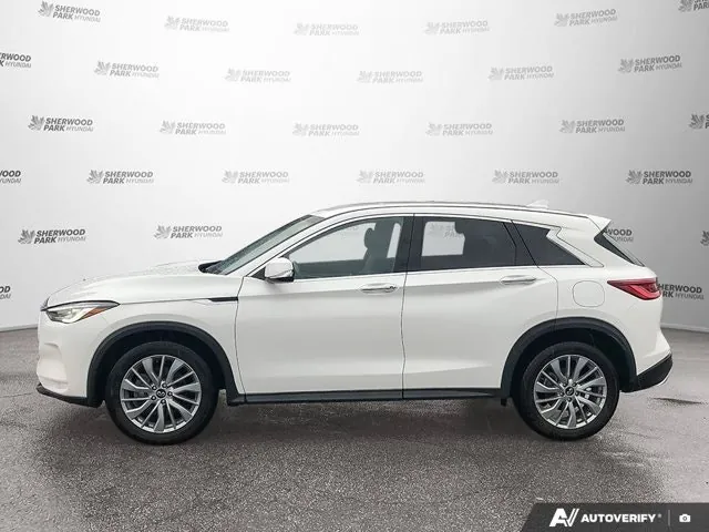 Infiniti Qx50 2024 photo 3