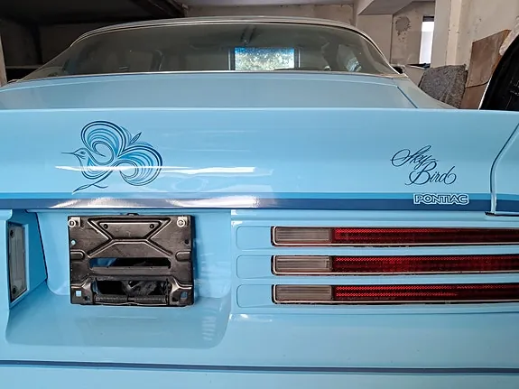 Pontiac Firebird 1978 photo 4