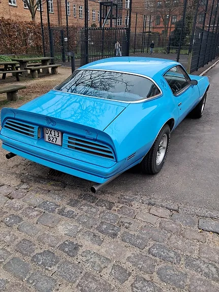 Pontiac Firebird 1978 photo 2