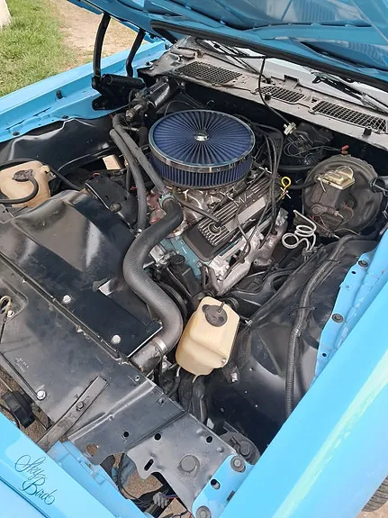 Pontiac Firebird 1978 photo 3