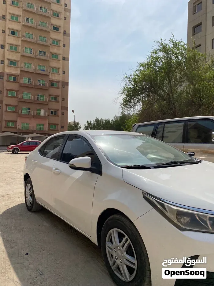 Toyota Corolla 2019 photo 3