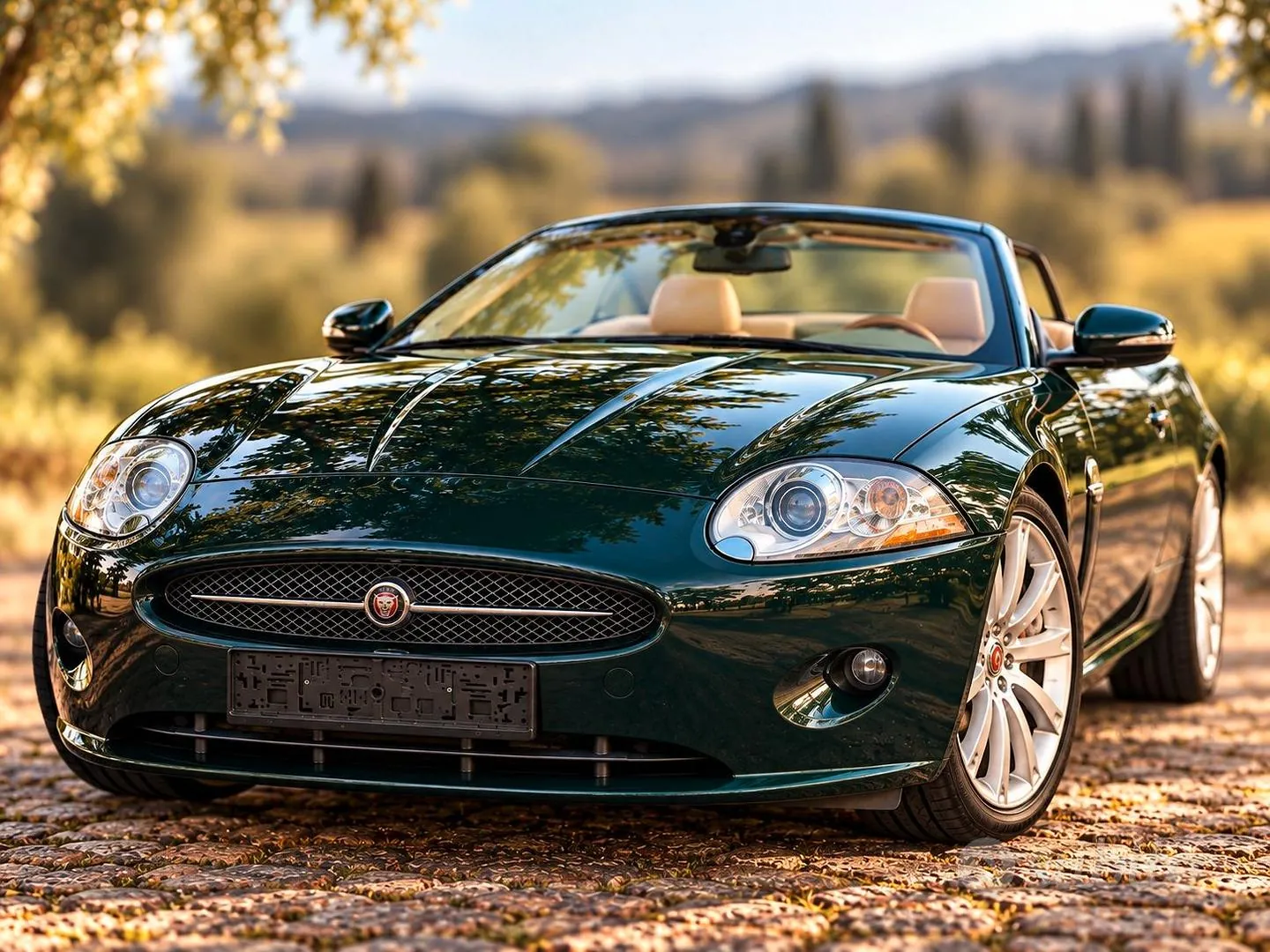 Jaguar Xk