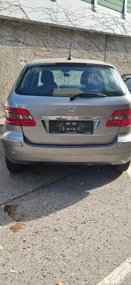Mercedes-Benz B-Class 2007 photo 2