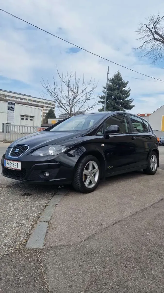 Seat Altea 2013 photo 2