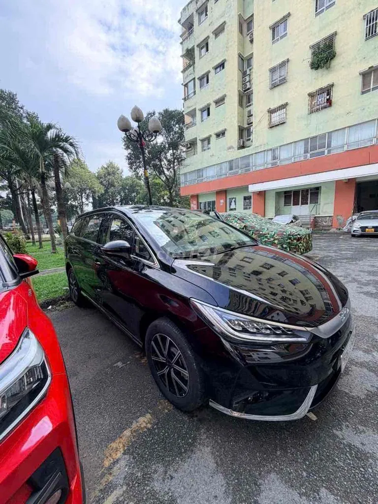 BYD M6