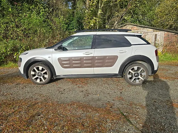Citroen C4 Cactus 2015 photo 5