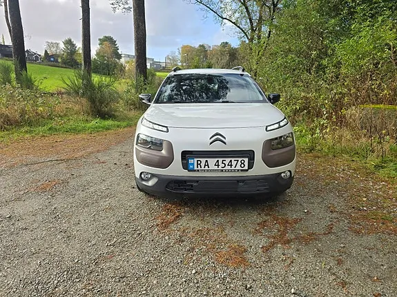 Citroen C4 Cactus