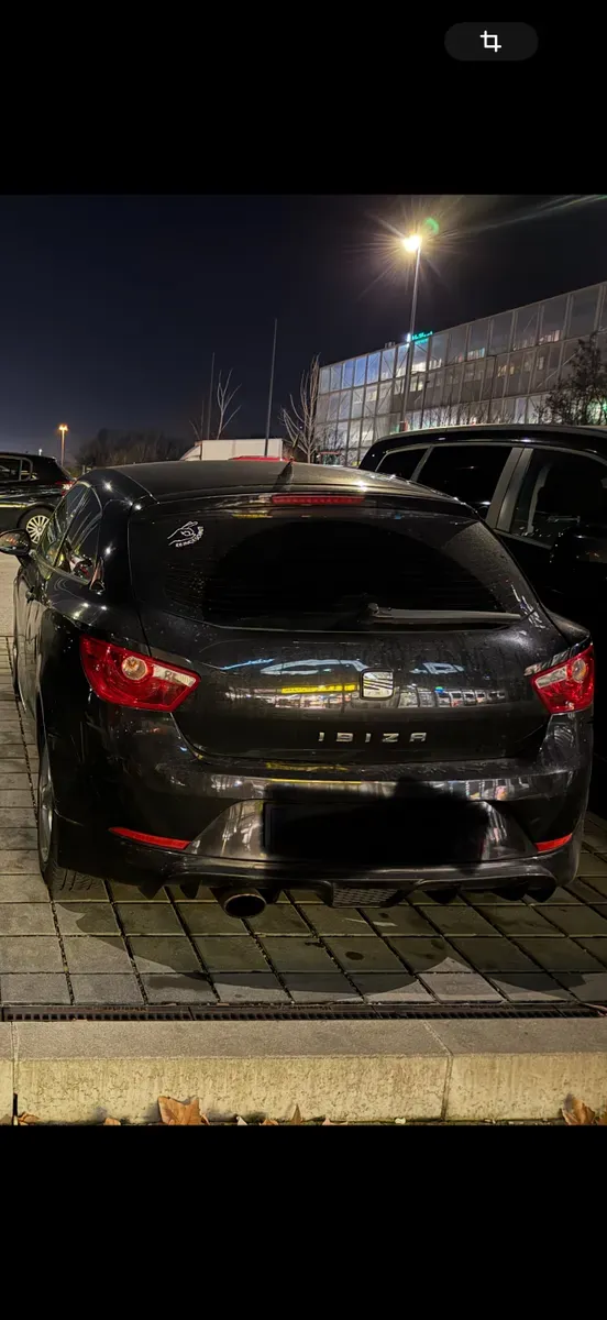 Seat Ibiza 2010 photo 2