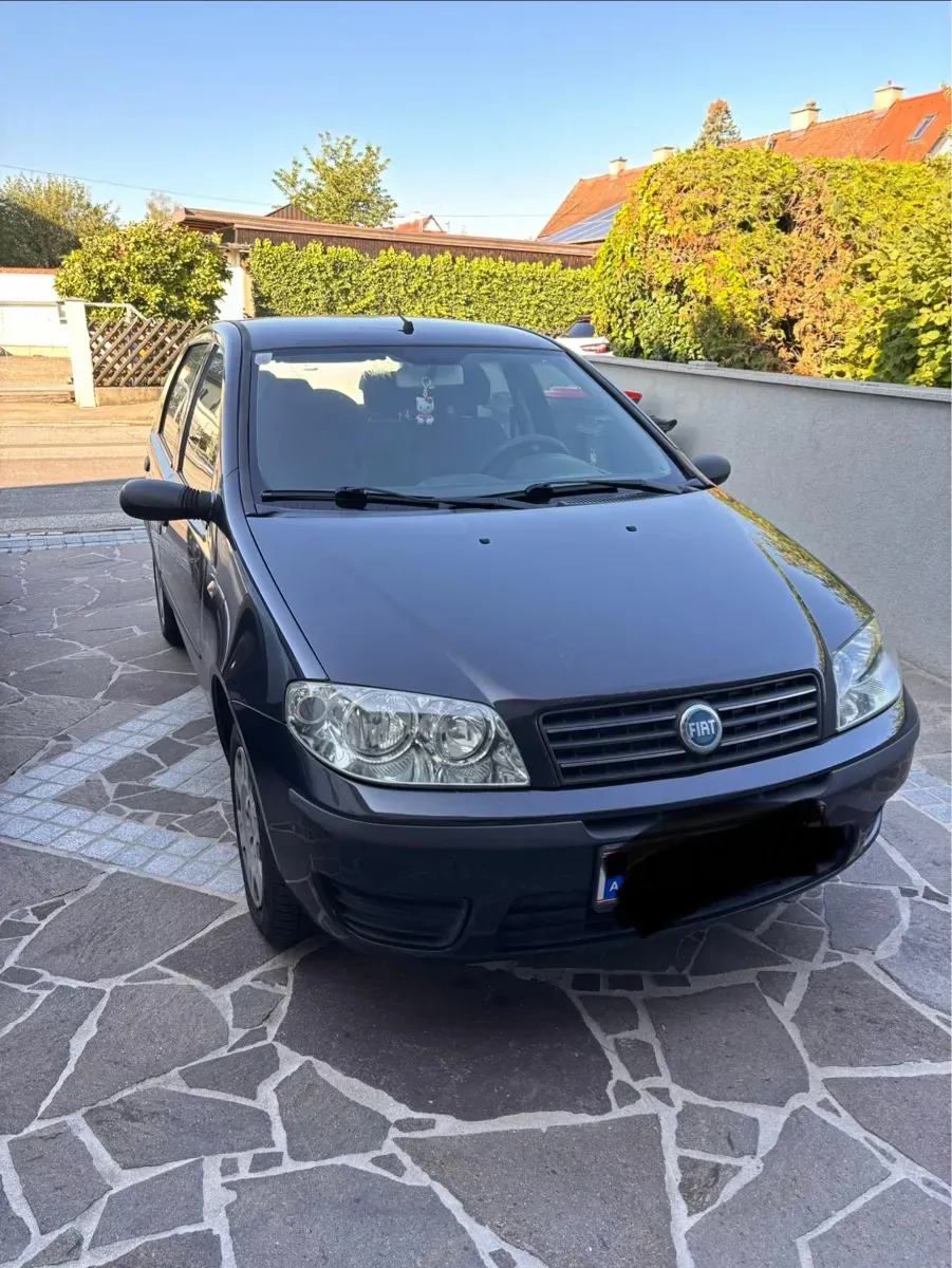 Fiat Punto 2004 photo 2