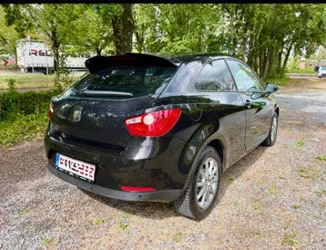 Seat Ibiza 2011 photo 3