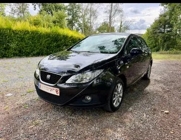 Seat Ibiza 2011 photo 2
