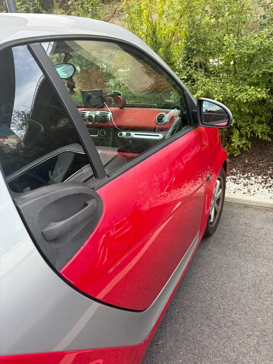 Smart Fortwo 2010 photo 2