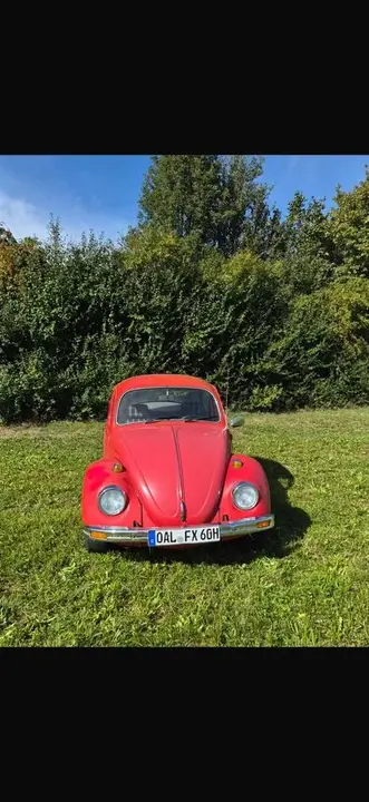 Volkswagen Käfer 1300