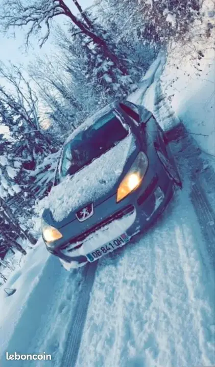 Peugeot 407