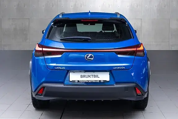 Lexus Ux300E 2021 photo 5