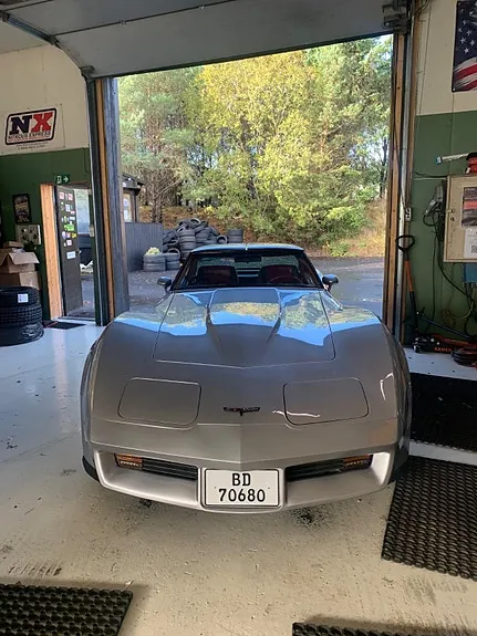 Chevrolet Corvette 1980 photo 3