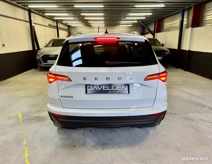 Skoda Karoq 2024 photo 4