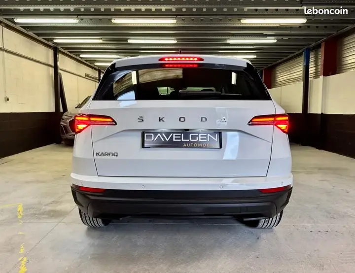 Skoda Karoq 2024 photo 5