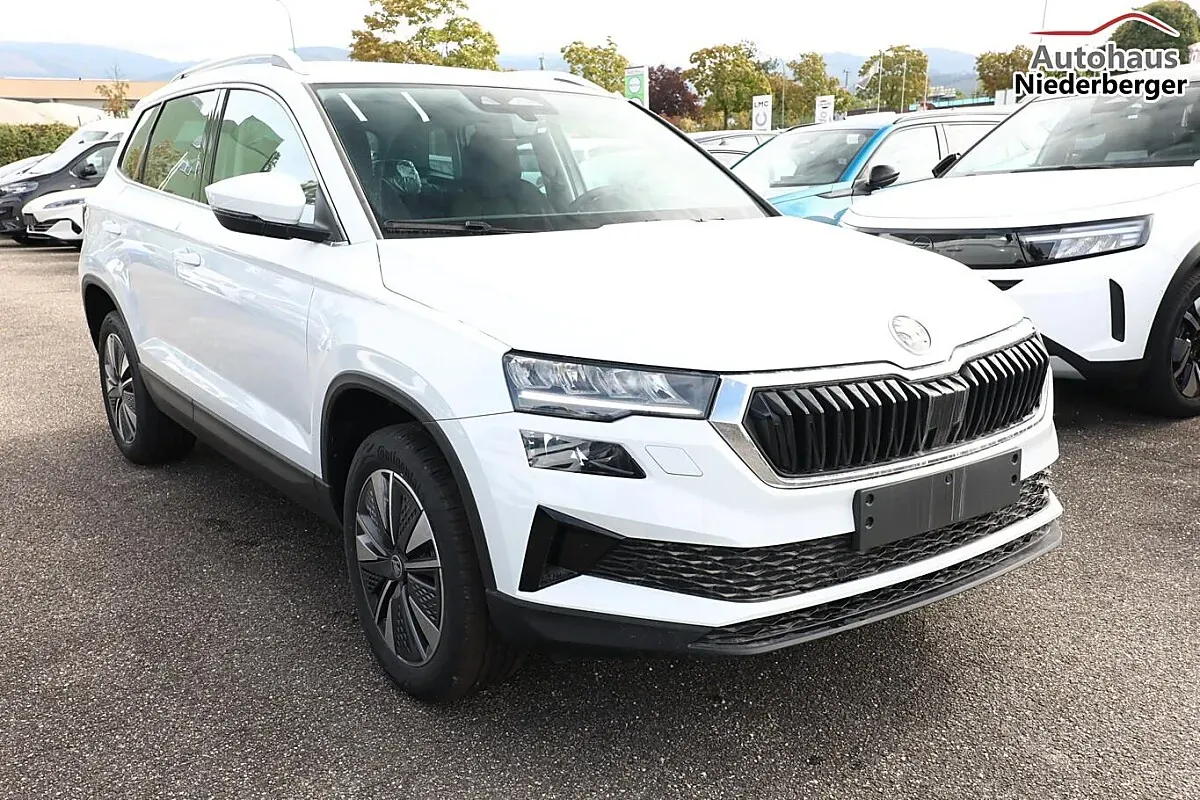 Skoda Karoq 2026 photo 2