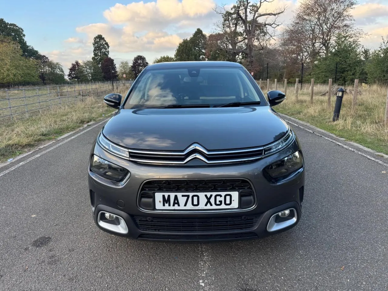 Citroen C4 Cactus 2020 photo 3