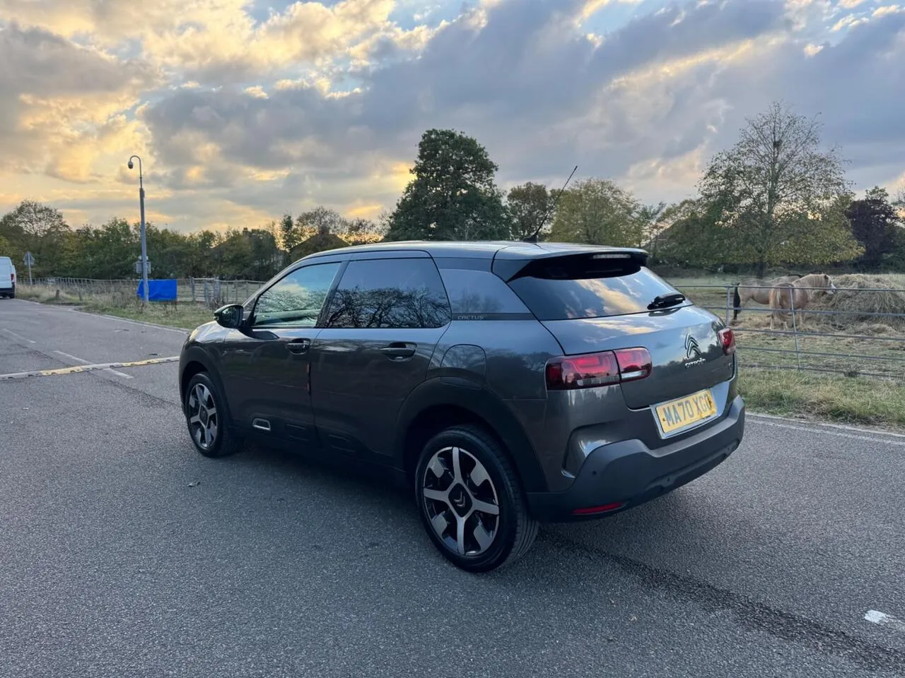 Citroen C4 Cactus 2020 photo 5