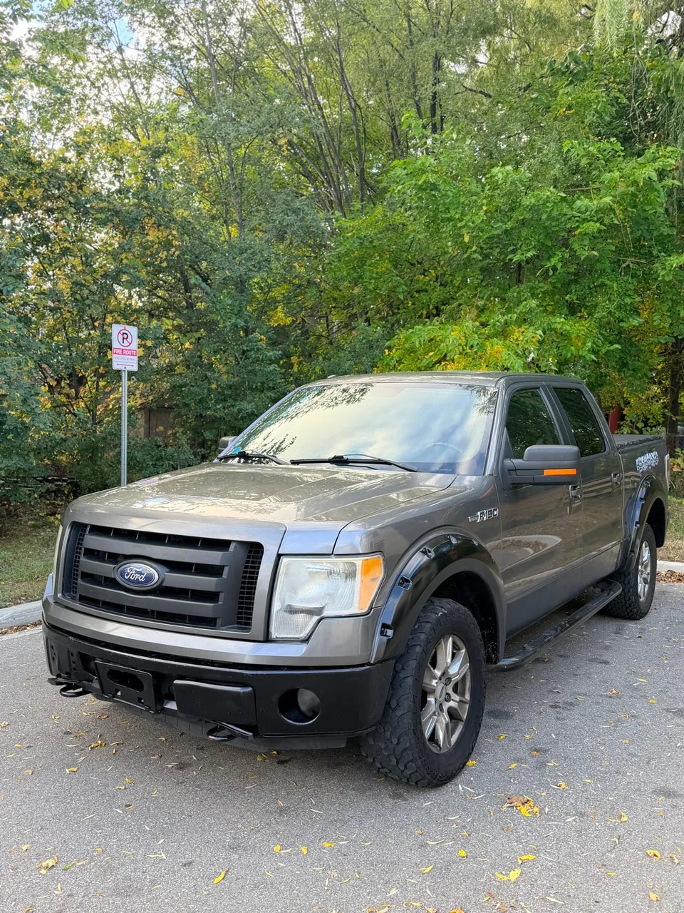Ford F-150 2014 photo 2