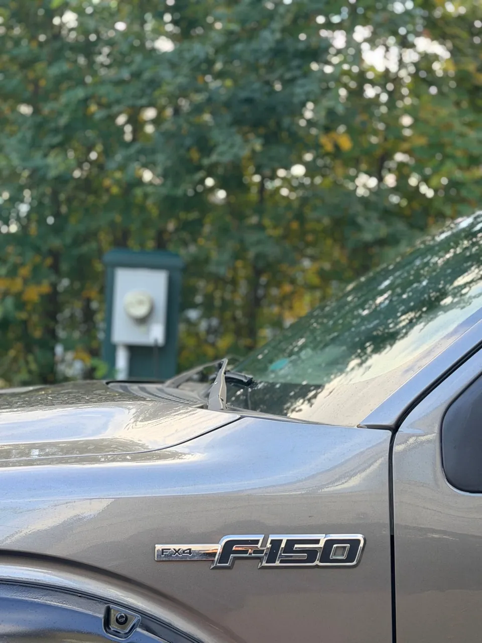 Ford F-150 2014 photo 3