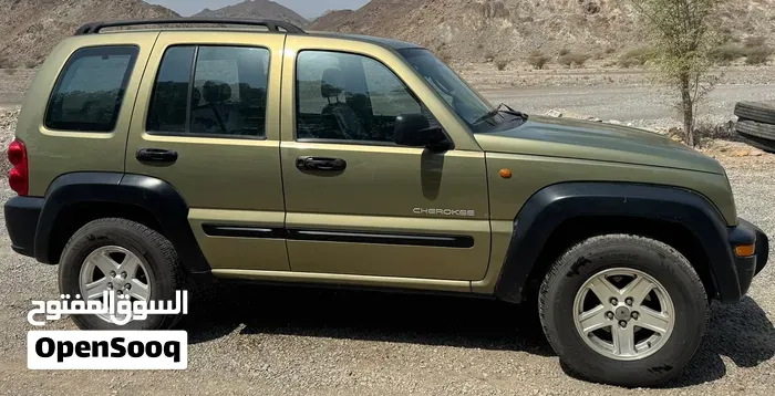 Jeep Grand Cherokee 2004 photo 4