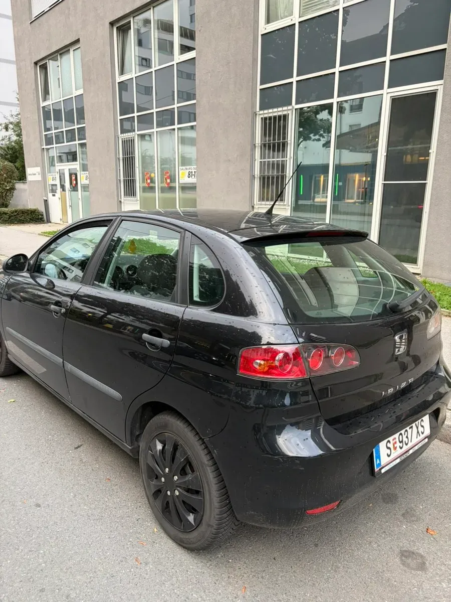 Seat Ibiza 2009 photo 2