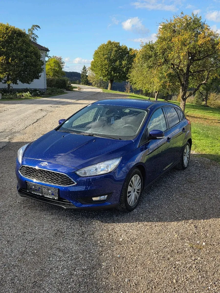 Ford Focus 2016 photo 2