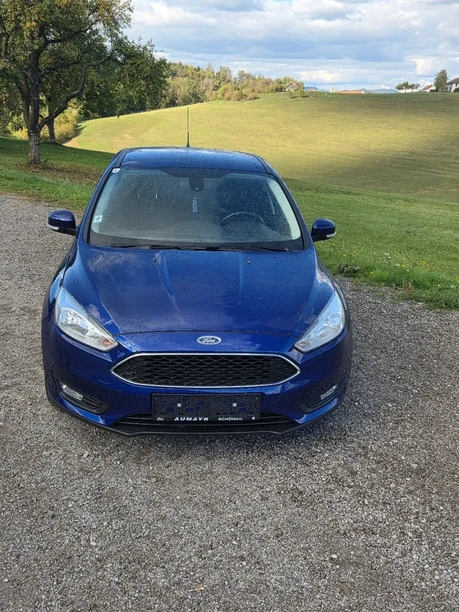 Ford Focus 2016 photo 3
