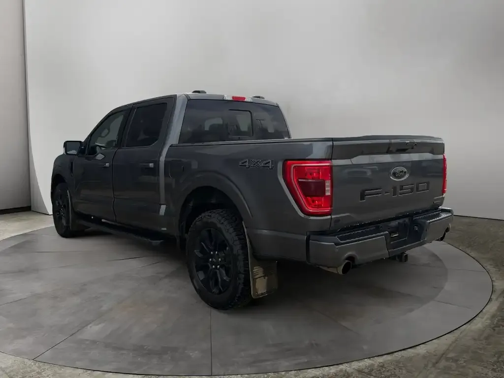 Ford F-150 2023 photo 3