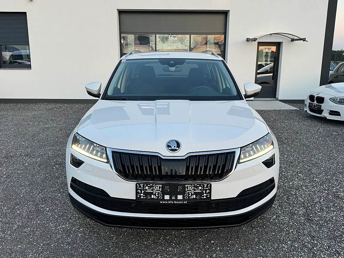 Skoda Karoq 2019 photo 3