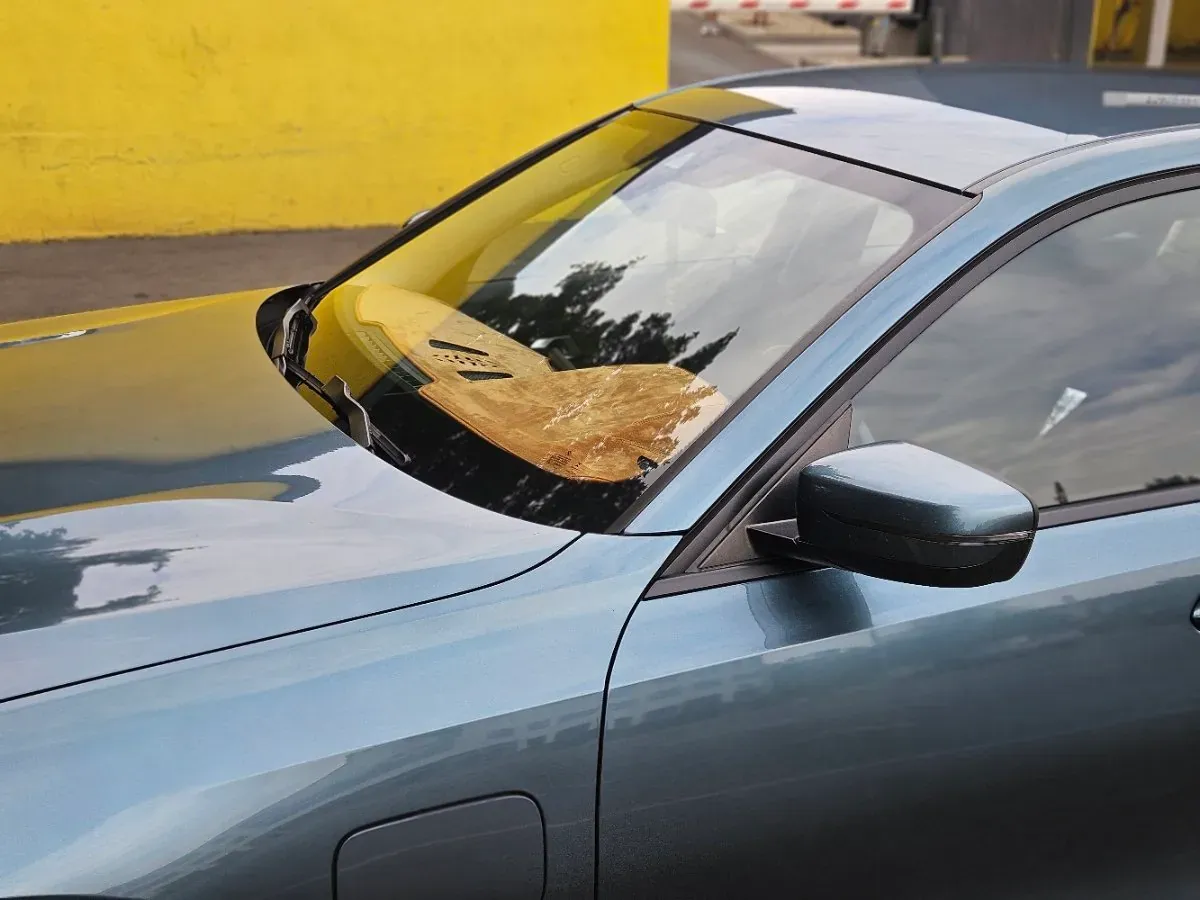 BMW 3 Series 2019 photo 3