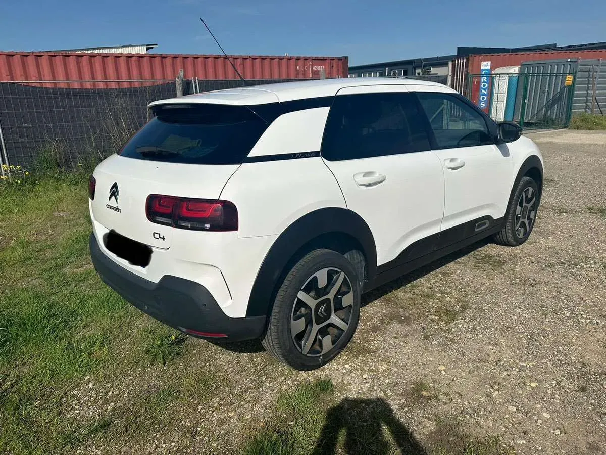 Citroen C4 Cactus 2019 photo 2