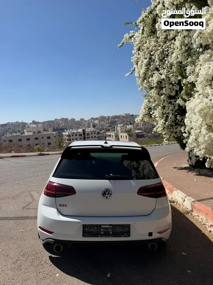 Volkswagen Golf Gti 2019 photo 3