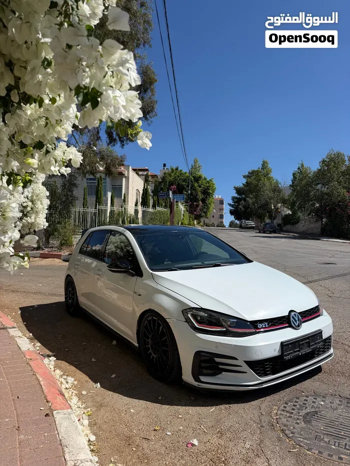 Volkswagen Golf Gti 2019 photo 2