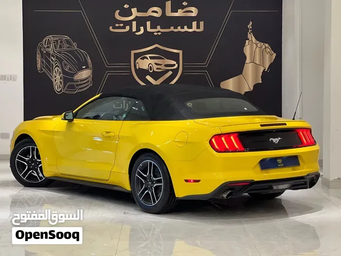 Ford Mustang 2018 photo 3
