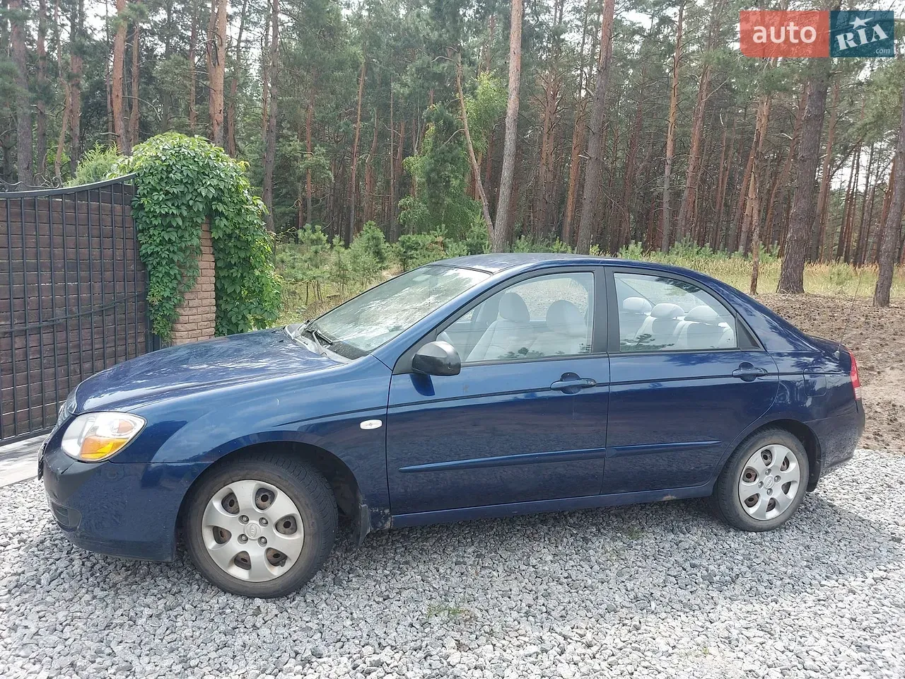 Kia Cerato 2009 photo 5