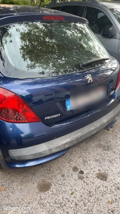 Peugeot 207 2006 photo 2