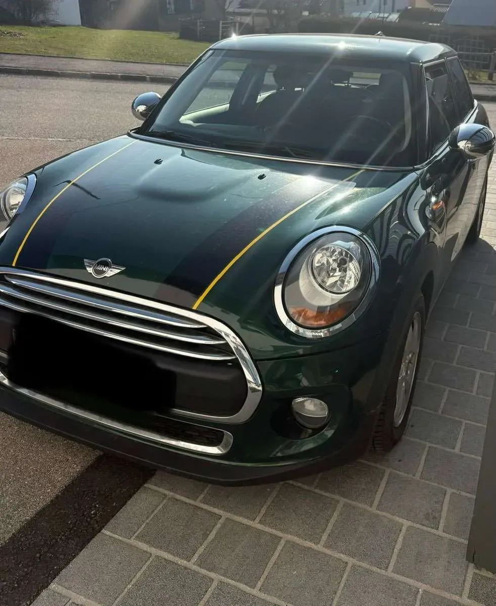 Mini Mini One D